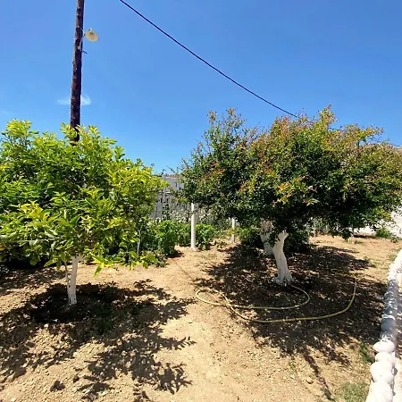 Διαμέρισμα Michail Karpathos Αφιάρτης