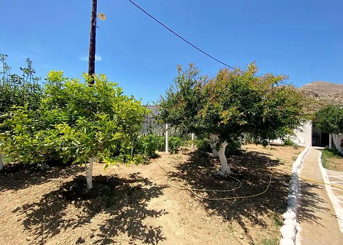 Appartamento Michail Karpathos Afiartis